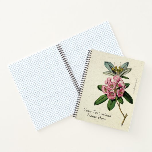 Vintag Beautiful Rhododendron Viskosum Notizblock (Innenseite)