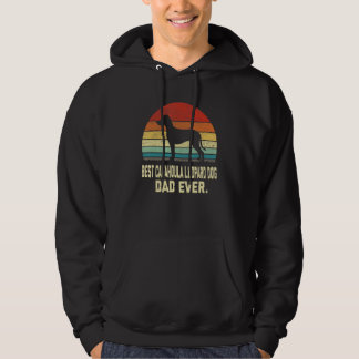 Vintag Bester Catahoula Leopard Dog Vater je Hund Hoodie