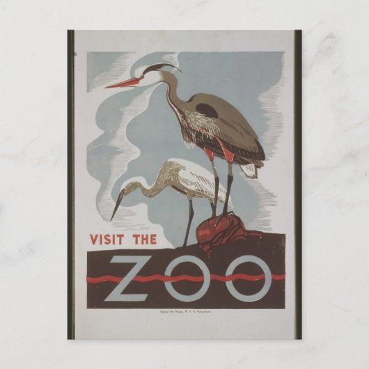 Vintag Besuch des Zoos Postkarte (Vorderseite)