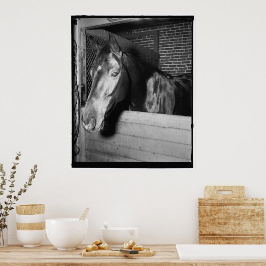 Vintag Billy das Pferd Poster (Küche)