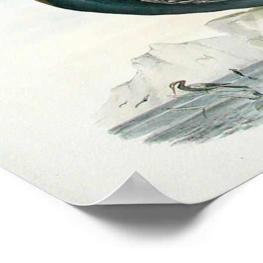 Vintag Bird Art Poster (Ecke)