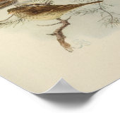 Vintag Bird Black Brown Poster (Ecke)