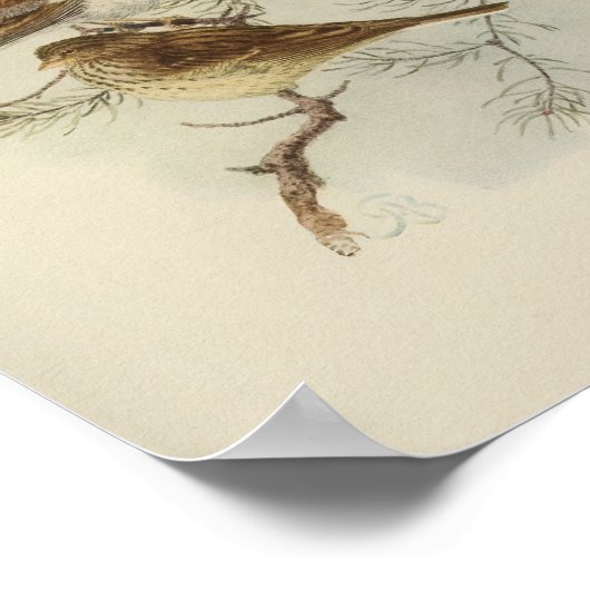 Vintag Bird Black Brown Poster (Ecke)