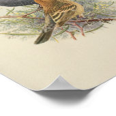 Vintag Bird Black Brown Print Poster (Ecke)