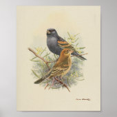 Vintag Bird Black Brown Print Poster (Vorne)