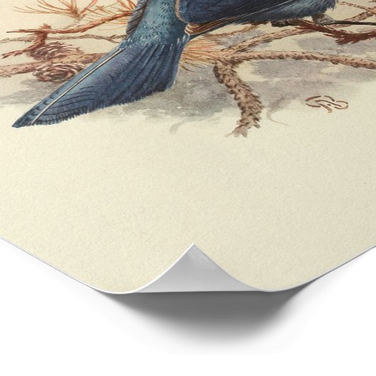 Vintag Bird Blue Black Poster (Ecke)