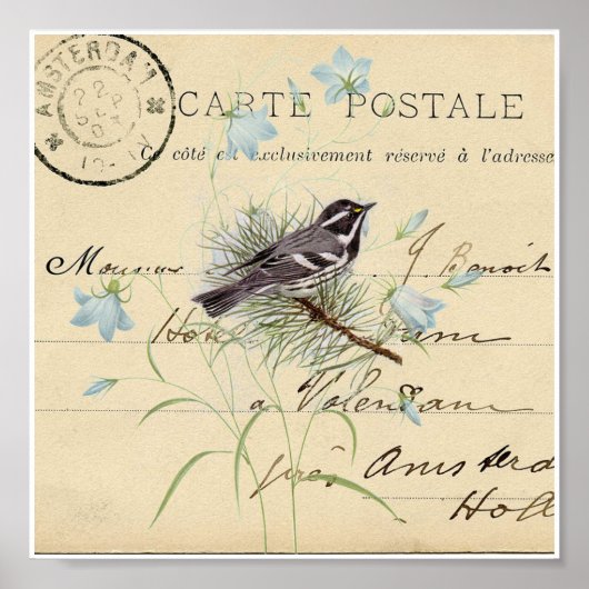 Vintag Bird Blue Blume Französische Postkarte Kuns Poster (Vorne)