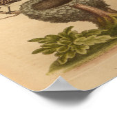 Vintag Bird Blue Brown Nest Print Poster (Ecke)