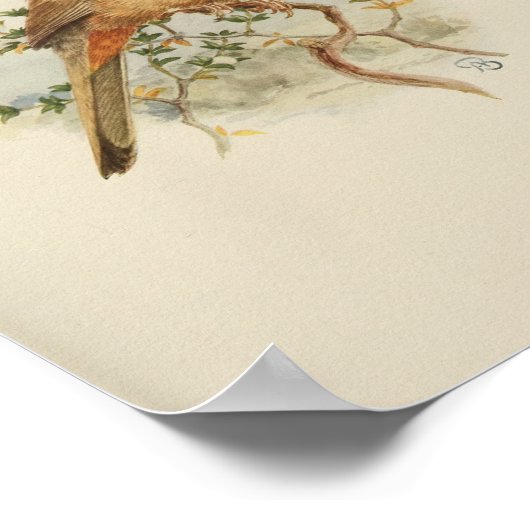 Vintag Bird Brown Print Poster (Ecke)