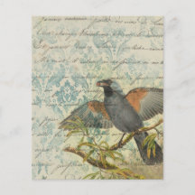 Vintag Bird Ephemera Scrapbook Paper Sheet