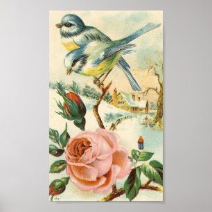 Vintag Bird Poster