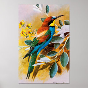Vintag Bird Poster