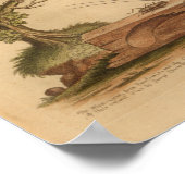 Vintag-Bird-Yellow-Cricket Poster (Ecke)