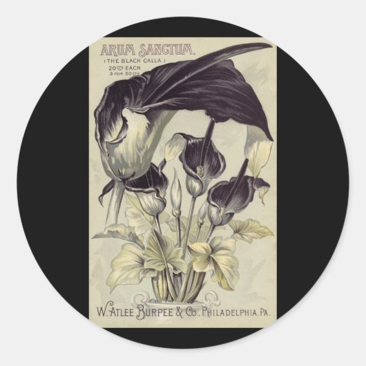 Vintag Black Calla Lilies Runder Aufkleber (Vorderseite)