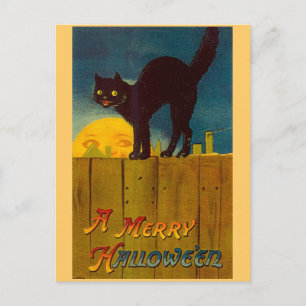 Vintag Black Cat Halloween Postkarte