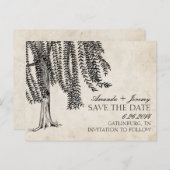 Vintag Black Weeping Willow Save the Date Ankündigungspostkarte (Vorne/Hinten)