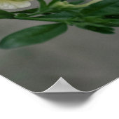 Vintag Blassgelbe Petunias Poster (Ecke)