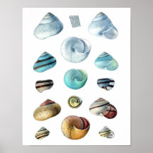 Vintag-blaues Seashells-Poster