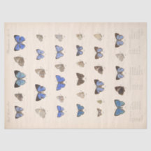 Vintag Blue Butterfells Ephemera Decoupage Aquamar