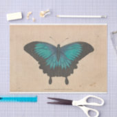 Vintag Blue Butterfly Ephemera Decoupage Aquamarin Seidenpapier (Handwerk)