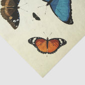 Vintag Blue Butterfly Ephemera Decoupage Script T Seidenpapier (Ausschnitt)