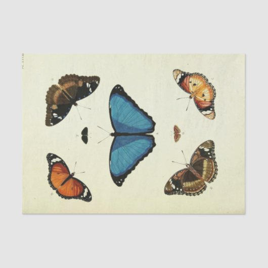 Vintag Blue Butterfly Ephemera Decoupage Script T Seidenpapier (Vorderseite)