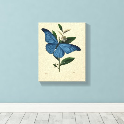Vintag Blue Butterfly Leinwanddruck (Insitu (Holzboden))