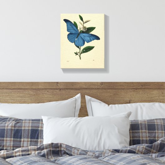 Vintag Blue Butterfly Leinwanddruck (Insitu (Schlafzimmer))