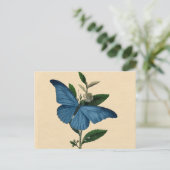 Vintag Blue Butterfly Postkarte (Stehend Vorderseite)