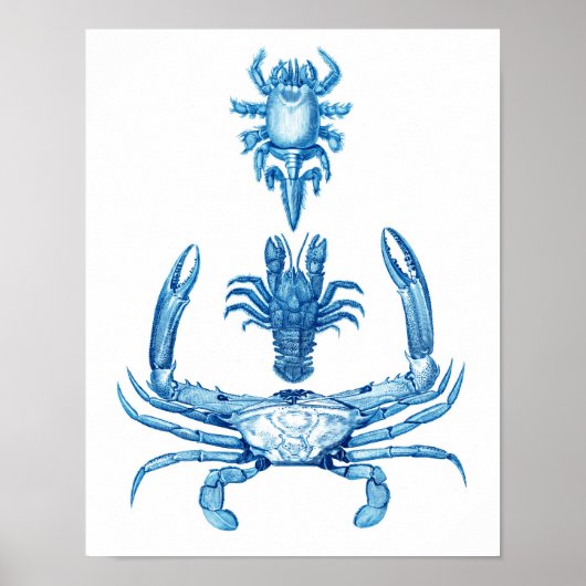 Vintag Blue Crabs Poster No.5 Beach Deco (Vorne)