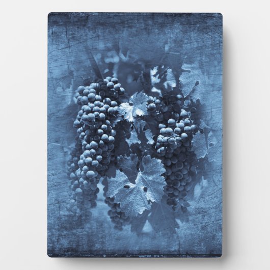 Vintag Blue Grapes Plaster Fotoplatte (Vorderseite)