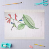 Vintag Blue Humming Bird Ephemera Decoupage Seidenpapier (Basteln)