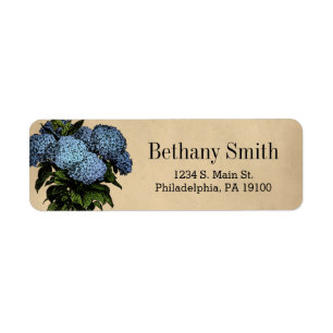 Vintag Blue Hydrangea Botanical Floral