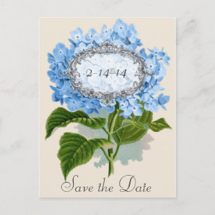Vintag Blue Hydrangea Frame Save the Date Card Ankündigungspostkarte