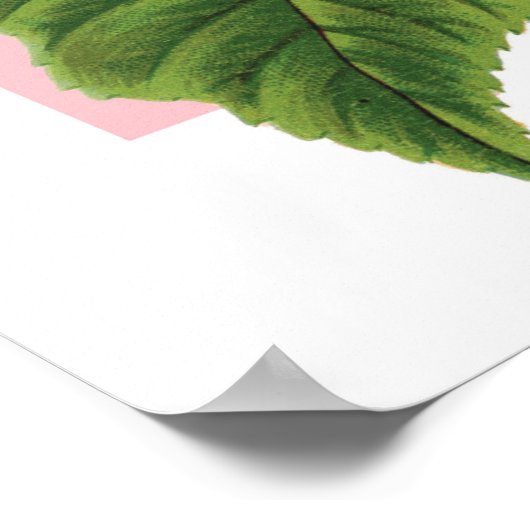 Vintag Blue Hydrangea Poster (Ecke)