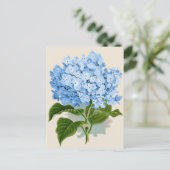 Vintag Blue Hydrangea Postkarte (Stehend Vorderseite)