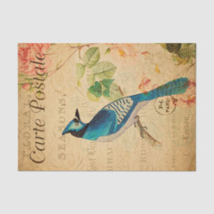 Vintag Blue Jay Bird Floral Blume Französisch Seidenpapier
