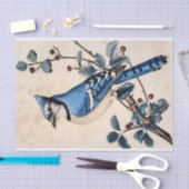 Vintag Blue Jay Illustration Decoupage Seidenpapier (Handwerk)