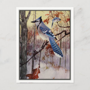 Vintag Blue Jay von Robert Bruce Horsfall Postkarte