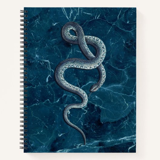 Vintag Blue Snake & Marble Notizblock (Vorderseite)