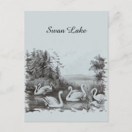 Vintag Blue Swan Postcard Postkarte