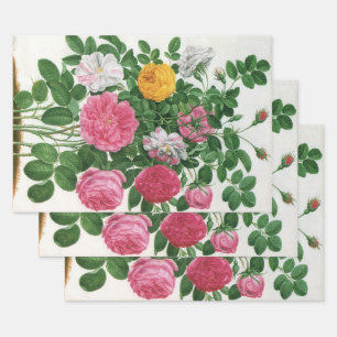 Vintag blühende Blume, Frühjahrsgärten-Rose Geschenkpapier Set