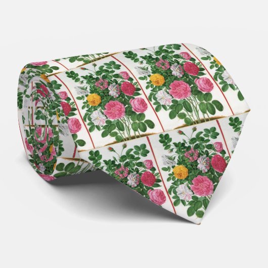 Vintag blühende Blume, Frühjahrsgärten-Rose Krawatte (Gerollt)