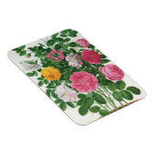 Vintag blühende Blume, Frühjahrsgärten-Rose Magnet (Rechte Seite)