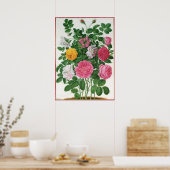 Vintag blühende Blume, Frühjahrsgärten-Rose Poster (Küche)