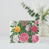 Vintag blühende Blume, Frühjahrsgärten-Rose Postkarte (Stehend Vorderseite)