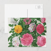 Vintag blühende Blume, Frühjahrsgärten-Rose Postkarte (Vorne/Hinten)