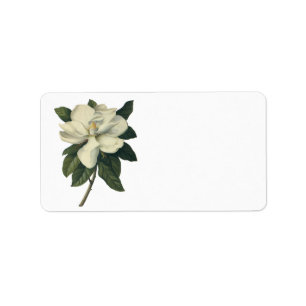 Vintag blühende weiße Magnolia-Blossom-Blume Adressaufkleber