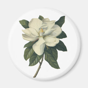 Vintag blühende weiße Magnolia-Blossom-Blume Magnet