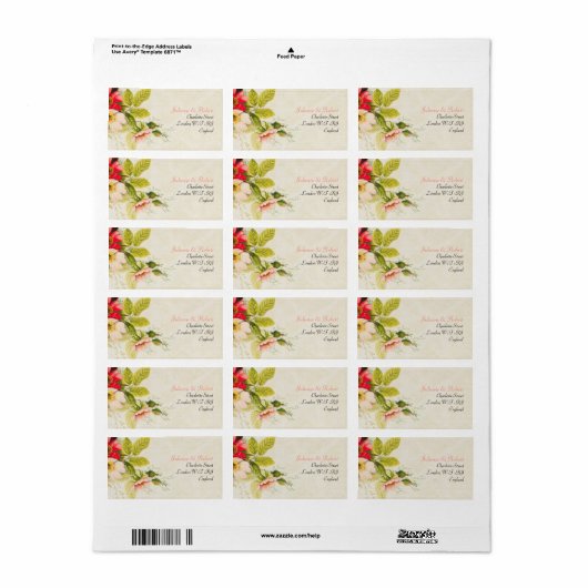 Vintag Blush Rose Blumenzwiebelbläschen Adressaufkleber (Vorne)